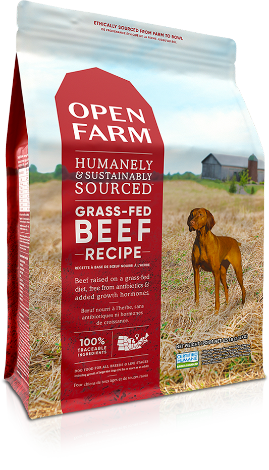 Open Farm Grain Free Dry Dog Food with Beef - High Protein, Natural Ingredients for Adult Dogs - Perfect for Sensitive Stomachs & Active Pets