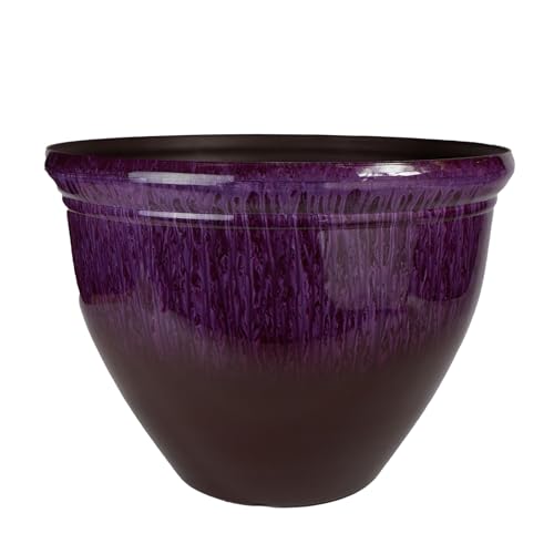 Purple Violet