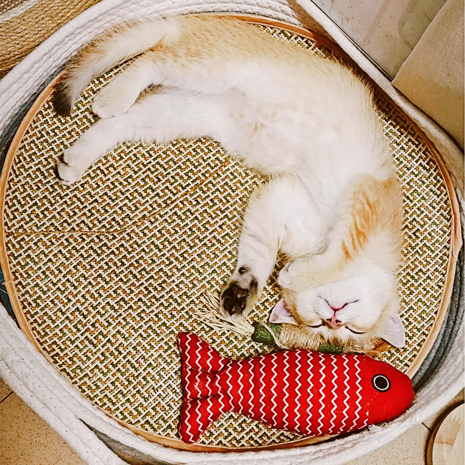 Round Wicker Cat Bed for Indoor Cats - Cooling Donut Pet Nest with Scratching Pad, Washable Grey Cat Basket for Summer Sleeping | Perfect for Cozy Napping & Playtime