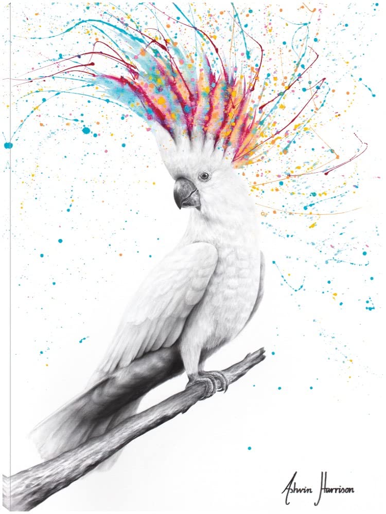 Cool Cockatoo Canvas Wall Art by Ashvin Harrison - 21x28 Inch Ready to Hang Painting for Living Room, Bedroom, Office Decor - Tropical Bird Home Décor for Modern & Coastal Interiors