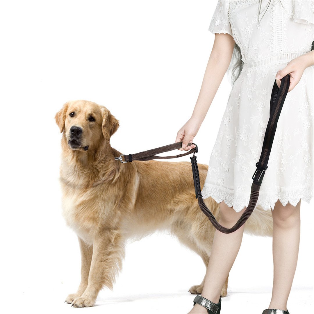 Dog Seat Belt for Car Safety - Heavy Duty Dog Leash with Double Handle & Reflective Strips for Large Dogs - Training, Walking, Running - Perfect for Road Trips, Daily Commutes & Outdoor Adventures