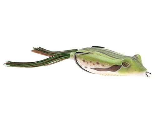 Pine Frog