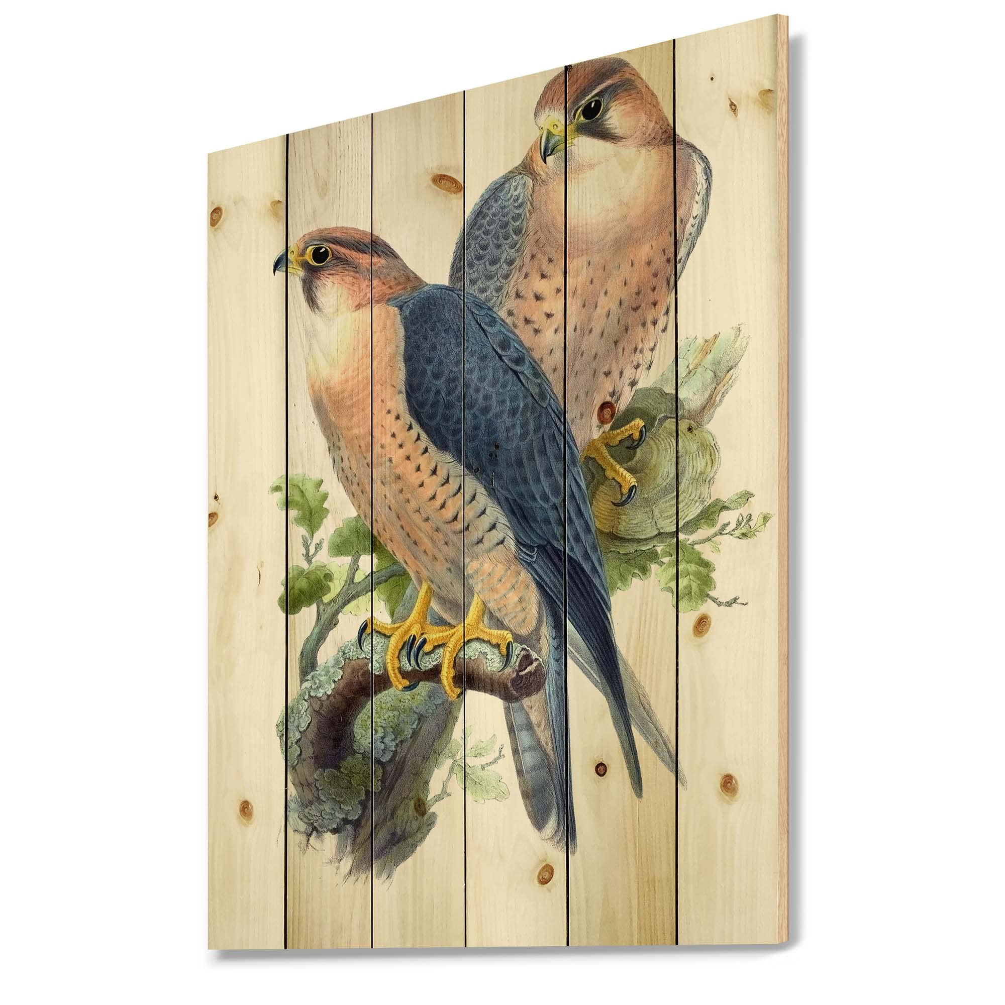 Vintage Birds II Traditional Wood Wall Decor - Blue Wood Wall Art with Large Animal Prints on Natural Pine Wood - Perfect for Living Room, Bedroom, and Office Decoration