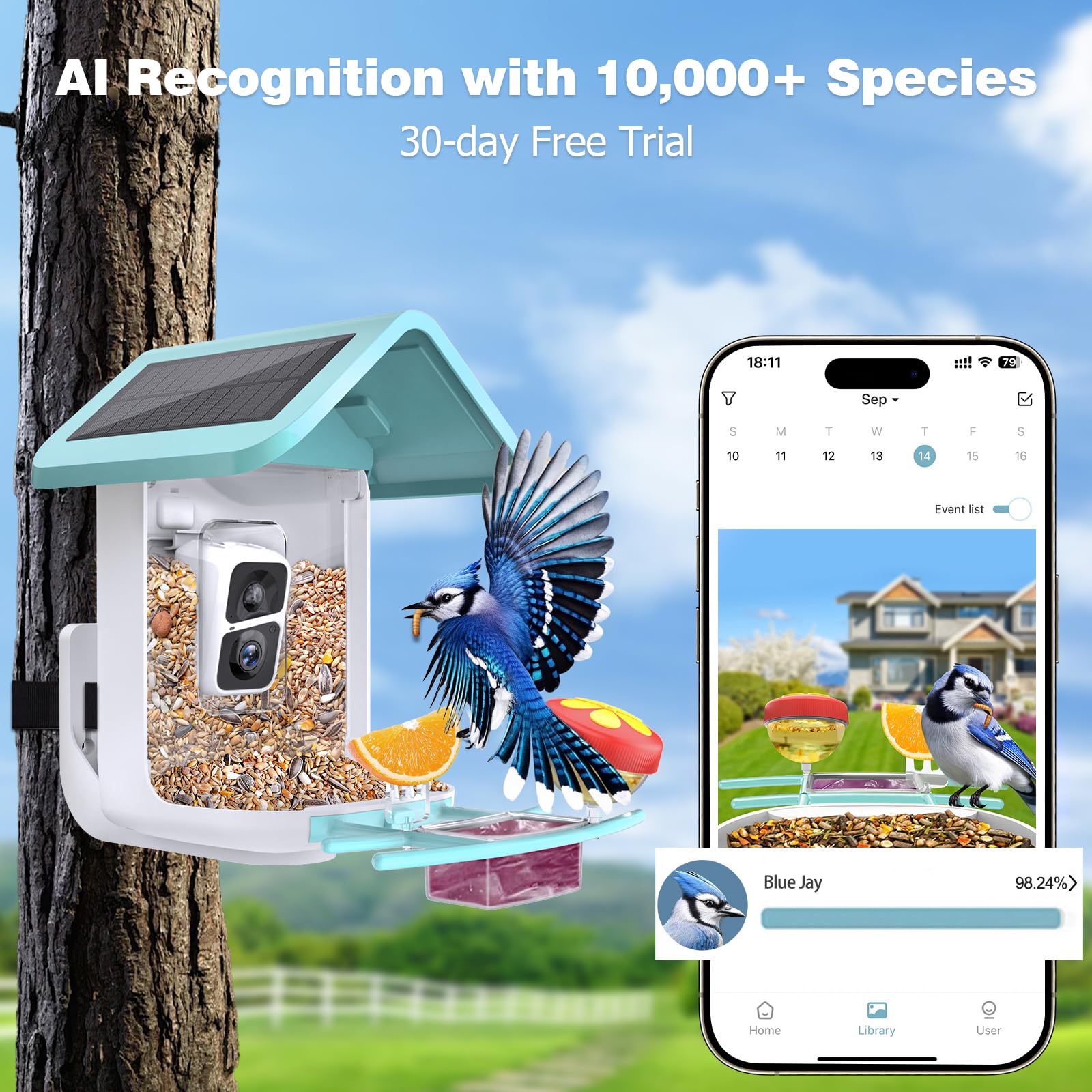 Solar Powered Smart Bird Feeder with 2K Camera - AI Bird Identification, Auto Video Capture, 2.4GHz WiFi Live Feed for Backyard Bird Watching | Perfect Gift for Bird Lovers, Parents & Nature Enthusiasts | Monitor Wildlife in Your Garden or Patio