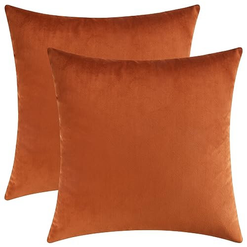 Burnt Orange