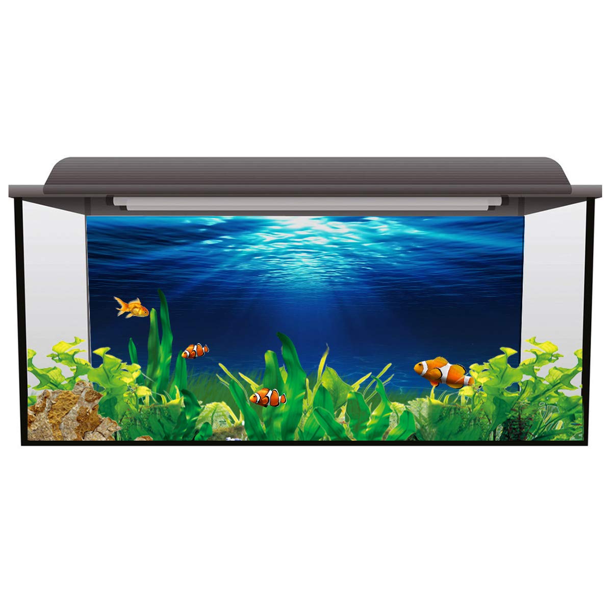 Victories Fish Tank Backdrop - PVC HD Printed Aquarium Wallpaper, Sunlight on Clear Blue Water Background Decor, Cling Decal Stickers for Home & Office Aquarium Decoration | Perfect for Fish Tanks, Reptile Terrariums & Aquatic Displays