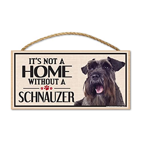 Schnauzer