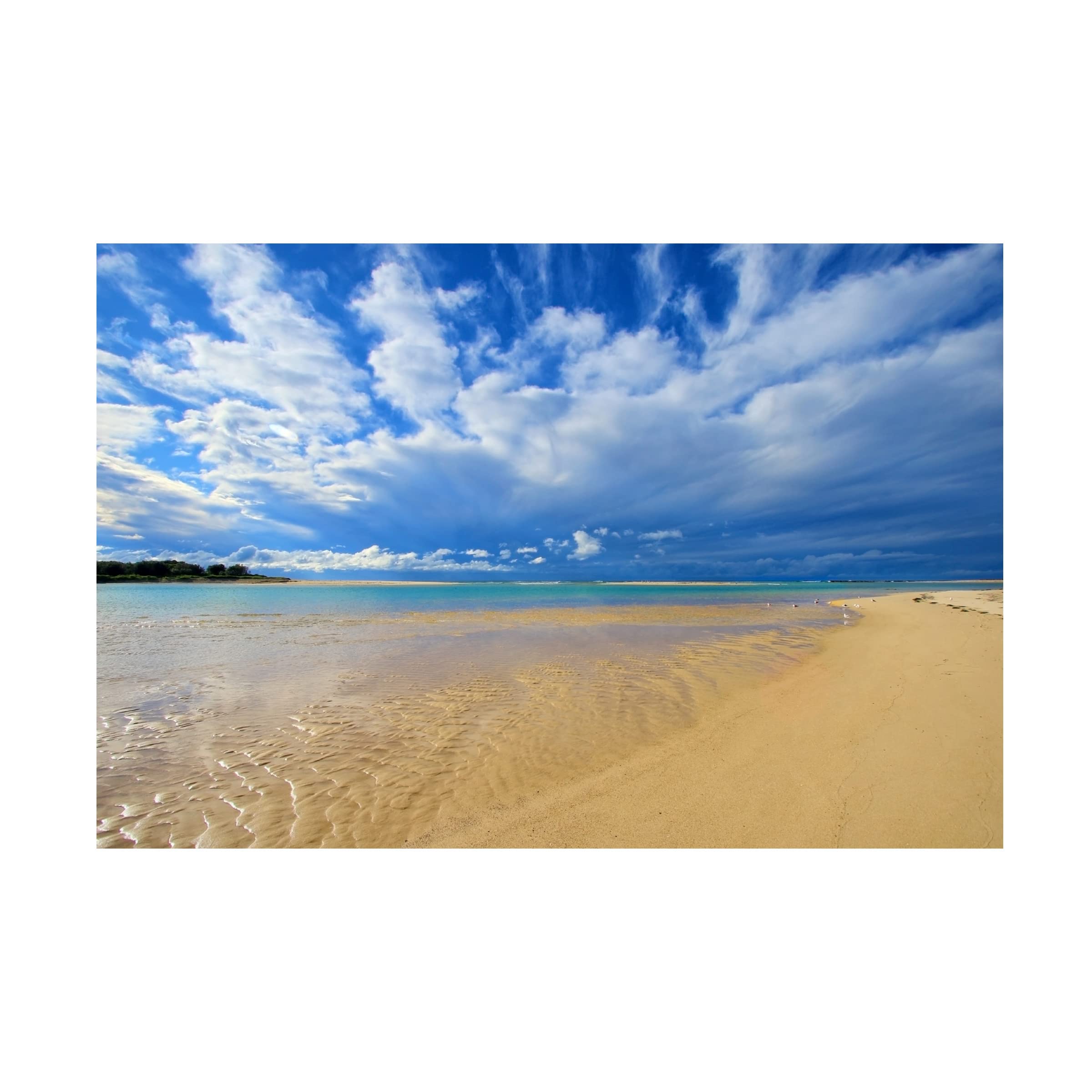 Beach Vibes Canvas Wall Art by Beata Czyzowska - Coastal Decor for Living Room, Bedroom & Office - Trademark Fine Art Collection