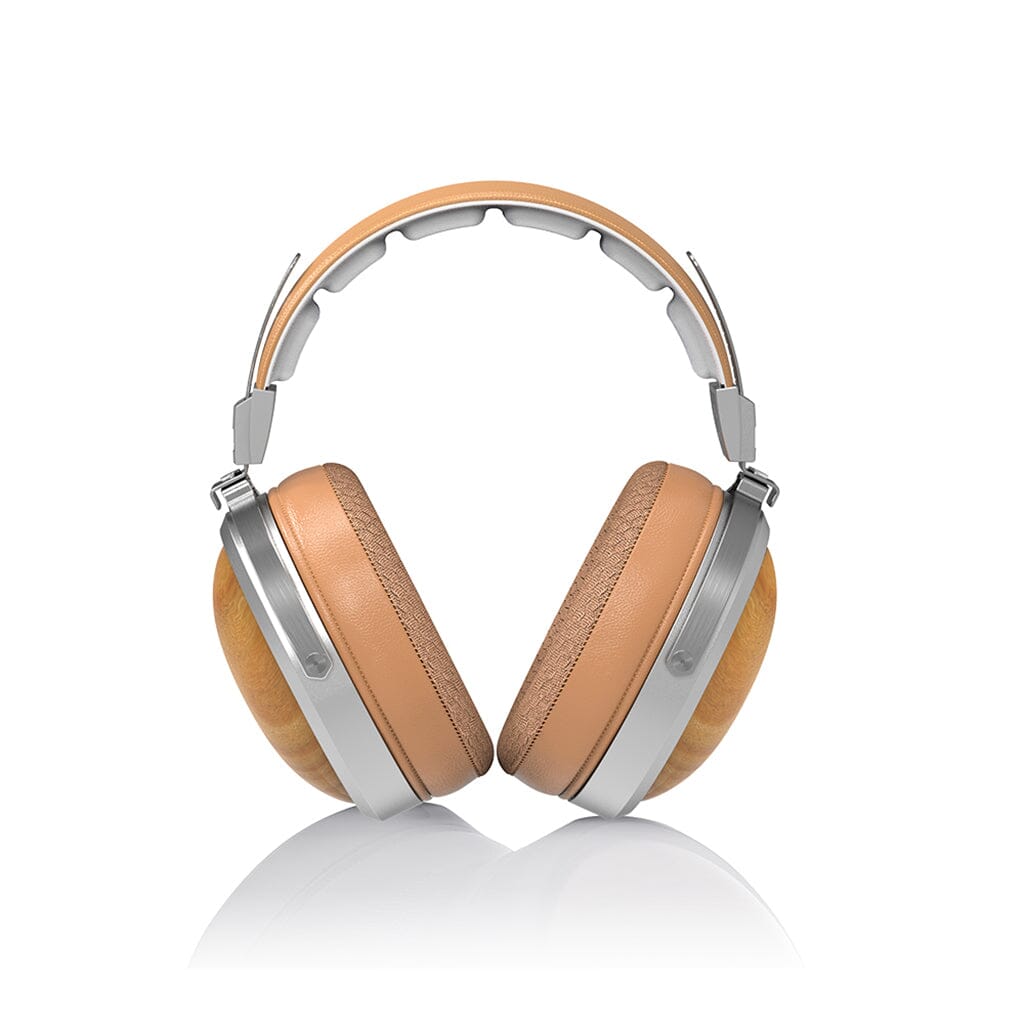FiiO FT1 High-Fidelity Over-Ear Headphones - Premium Sound Quality for Music, Gaming & Studio Use