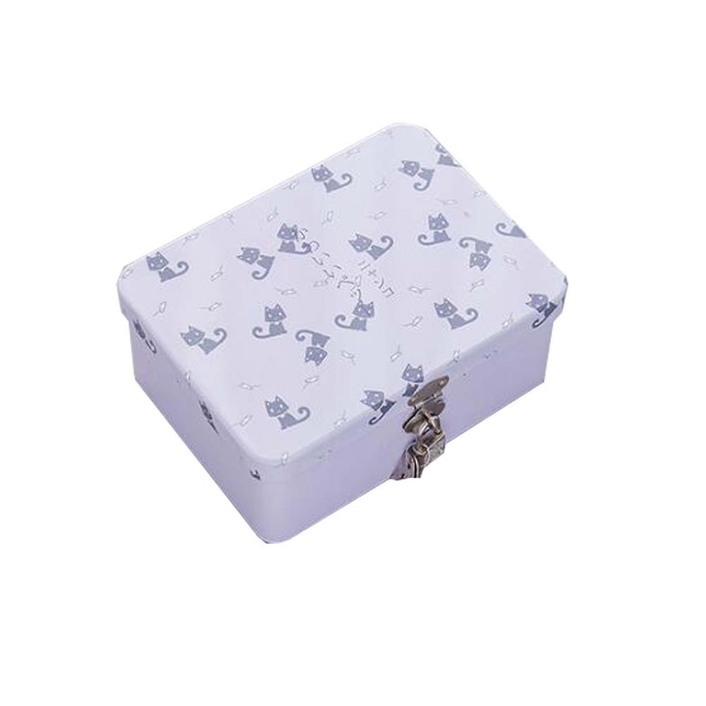 Premium Tinplate Gift Box with Lock - Elegant Cosmetic Storage for Jewelry, Makeup & Keepsakes | Perfect for Travel, Home & Office Organization