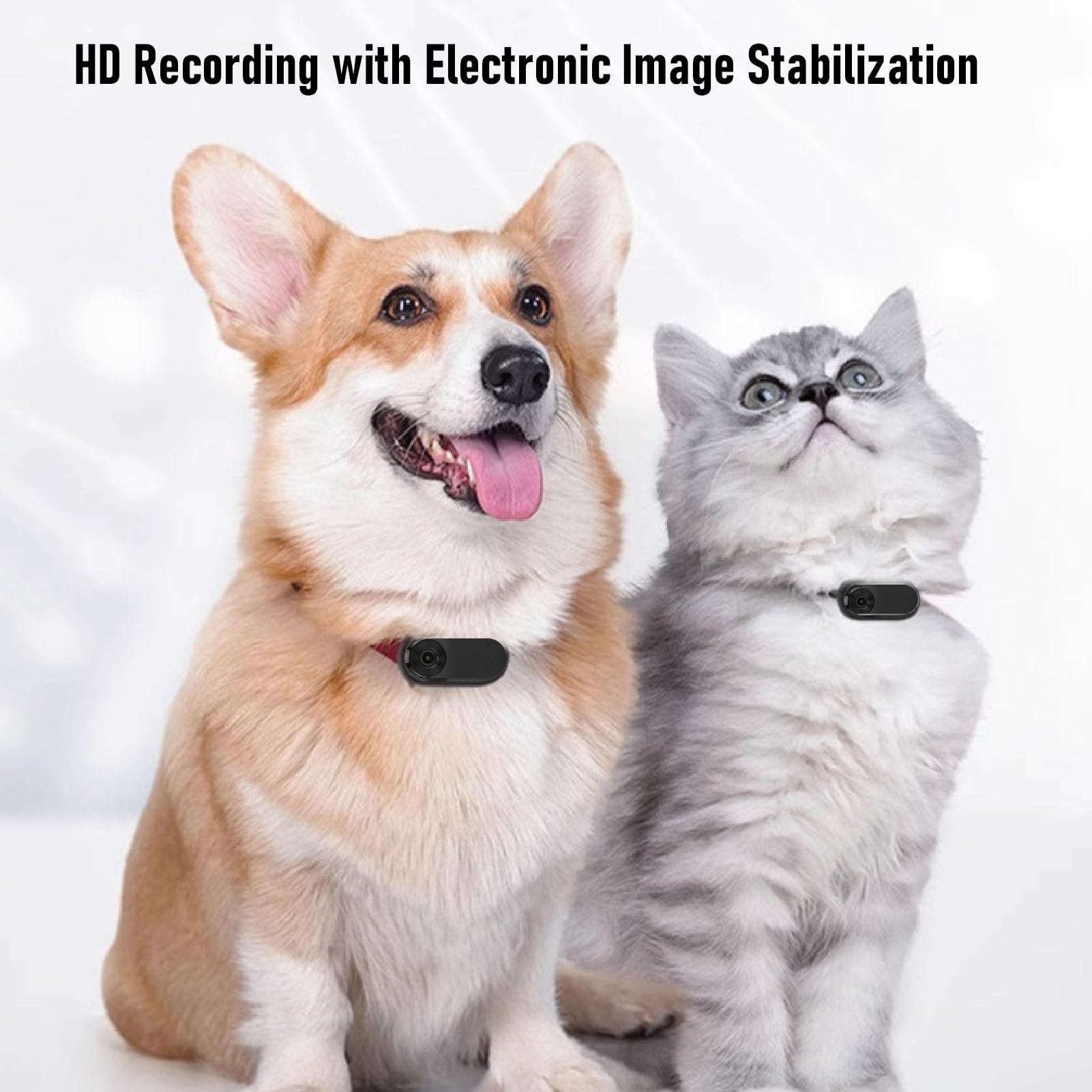 1080P HD Cat Camera Collar - Waterproof Pet Collar Camera with Anti-Shake, First Person View for Dogs & Cats - Ideal for Indoor/Outdoor Adventures, Hiking & Training (Black)