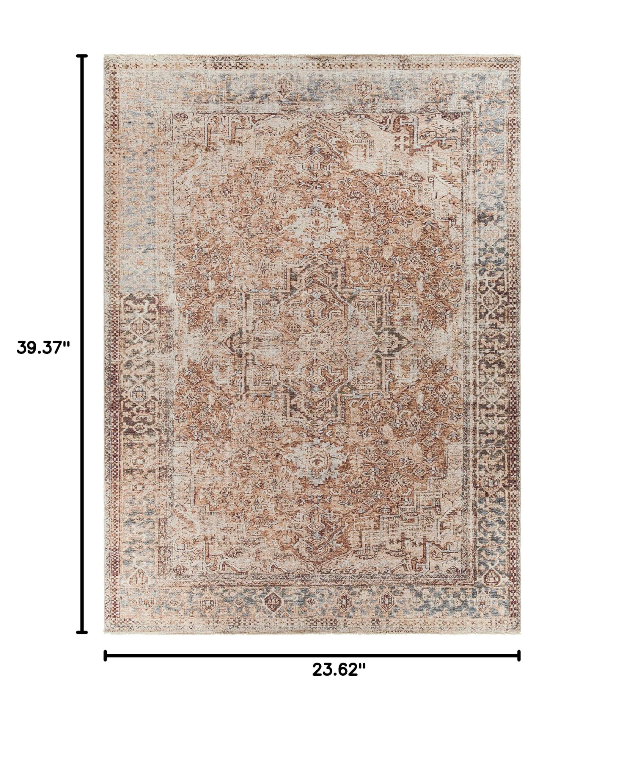 Hauteloom Onley Traditional Area Rug 2' x 3'3
