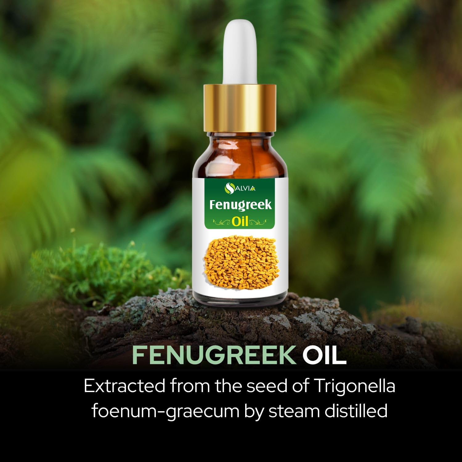 100% Pure & Natural Salvia Fenugreek (Trigonella Foenum-Graecum) Carrier Oil - Undiluted, 500ml | Aromatherapy, Massage, Hair & Skin Care, DIY Beauty Products