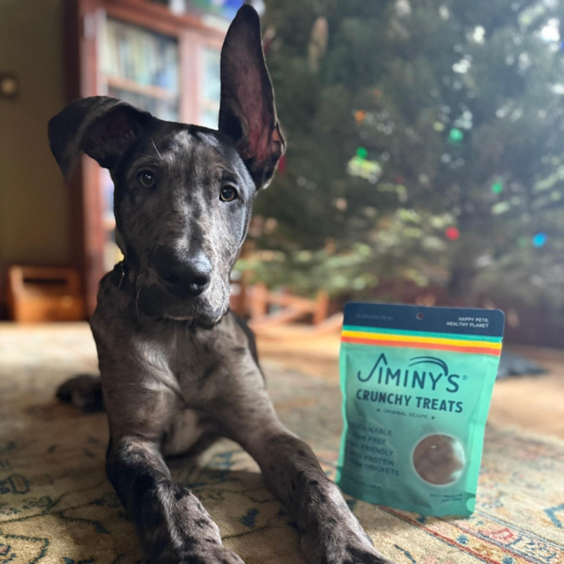 Jiminy's Crunchy Original Peanut Butter & Pumpkin Dog Treats - Hypoallergenic, Prebiotic, Tummy Friendly, Low Calorie, Cricket Protein Snacks for Dogs - Sustainable & Healthy 5oz Pack - Perfect for Training, Rewards & Sensitive Stomachs