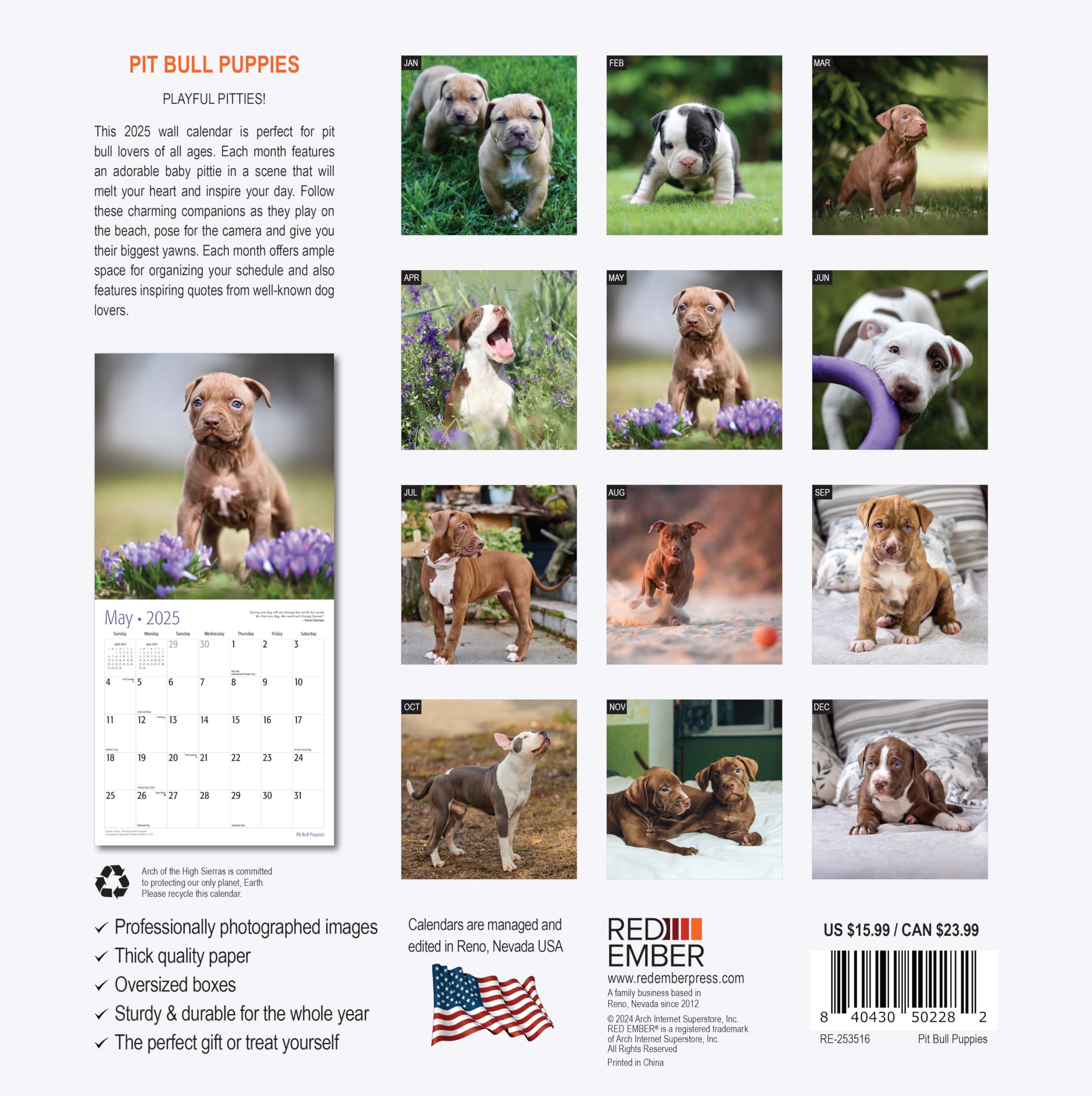 RED EMBER Pit Bull Puppies 2025 Wall Calendar - 12 Month Large Format (12x24 Inches) | Thick & Sturdy Paper | Perfect Gift for Dog Lovers | Home & Office Decor | Puppy Lover Wall Planner