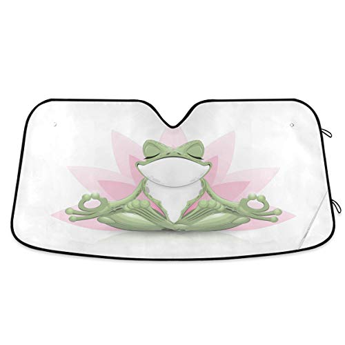 Funny Frog Doing Yoga