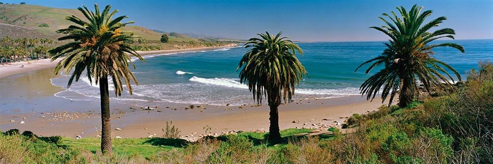 Peel & Stick Wall Murals - Tropical Palm Trees Beach Theme (72x24 inches) | Self-Adhesive Removable Wallpaper for Bedroom, Living Room & Office Decor
