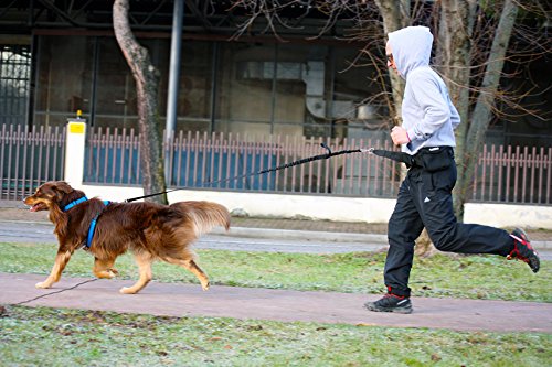 **Neewa Hands-Free Dog Walking Belt with Pockets & Collapsible Bowl – Adjustable Waist Leash for Hiking, Running, Jogging & Outdoor Adventures – Perfect for Active Pet Owners & Daily Walks**    *(Use Cases: Great for dog owners who love hiking, jogging, or hands-free walks while keeping treats, keys, and a collapsible water bowl handy.)*