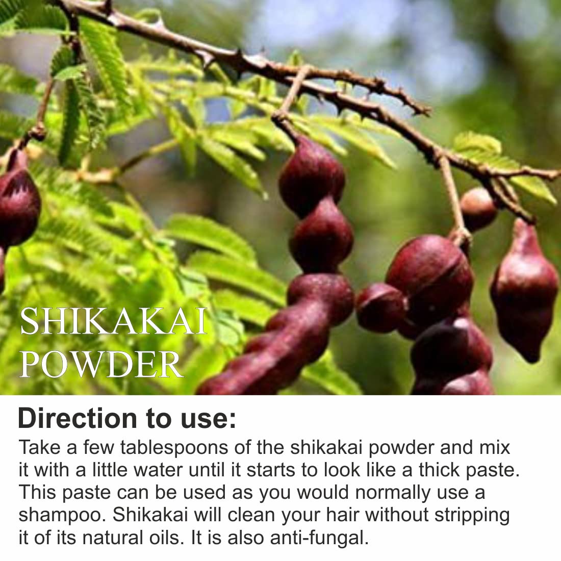 Organic Shikakai Powder (Acacia Concinna) - 100% Natural Hair Cleanser & Conditioner for Strong, Shiny Hair | Promotes Hair Growth & Scalp Health | Ideal for DIY Hair Masks, Ayurvedic Treatments & Natural Hair Care Routines - 100g