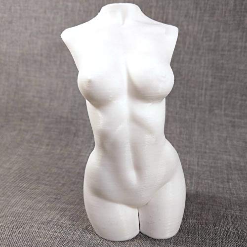 3D Printed White Female Torso Statue - Modern Home Decor, Art Studio Display, Photography Prop, and Contemporary Sculpture Collection