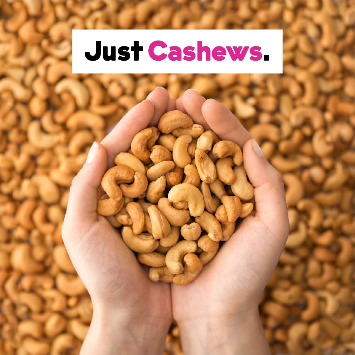 JOI Unsweetened Cashew Milk Concentrate - 60 Quarts | Vegan, Kosher, Keto-Friendly, Dairy-Free, Fat-Free | Plant-Based Milk Powder for Coffee, Baking & Smoothies | Shelf-Stable Nut Milk Alternative for Home & Office Use
