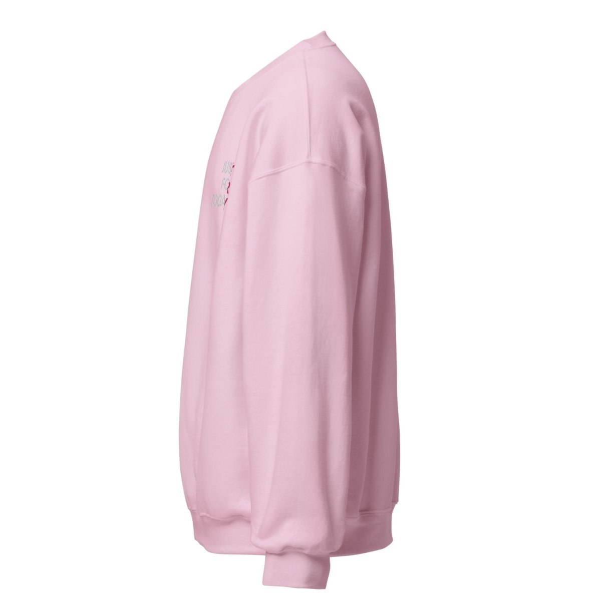 Just for Today Embroidered Unisex Sweatshirt - Soft Cotton Pullover Hoodie for Men & Women (Pink) - Perfect for Casual Wear, Gifts & Everyday Comfort