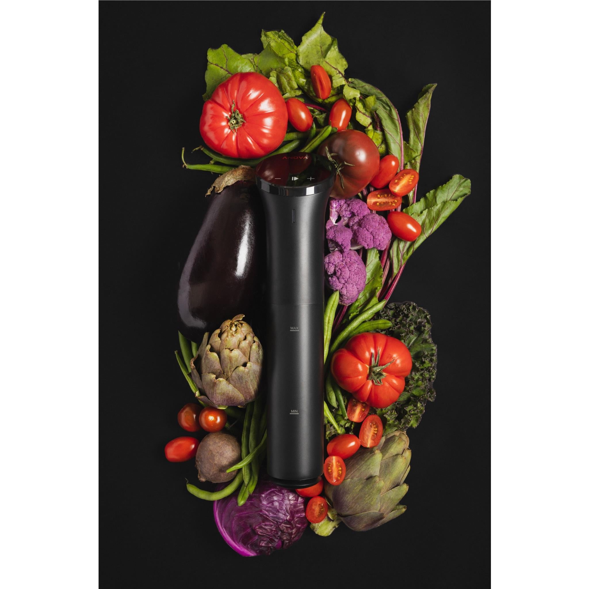 Anova Precision Cooker Nano 3.0 Sous Vide Immersion Circulator - Perfect for Home Cooking, Restaurant Use & Meal Prep