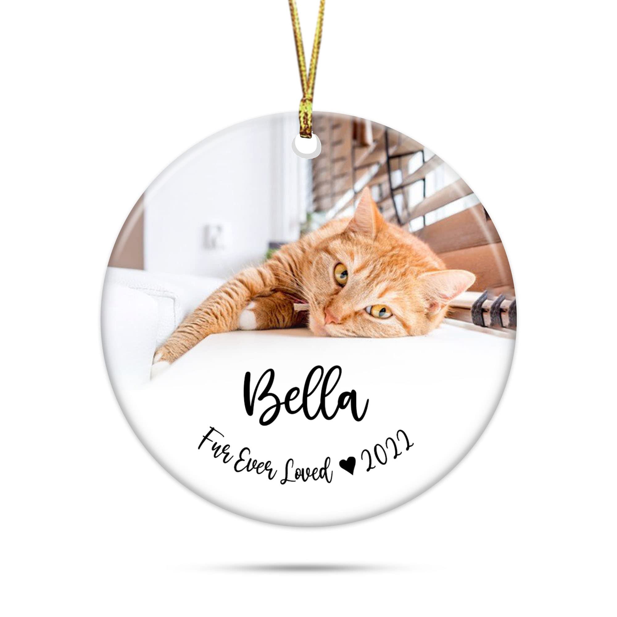 Personalized Cat Memorial Ornament - Custom Photo Keepsake for Rainbow Bridge Pet Loss - Sympathy Gift for Cat Lovers - Perfect for Pet Memorial Tree, Christmas Decor, or Healing After Loss