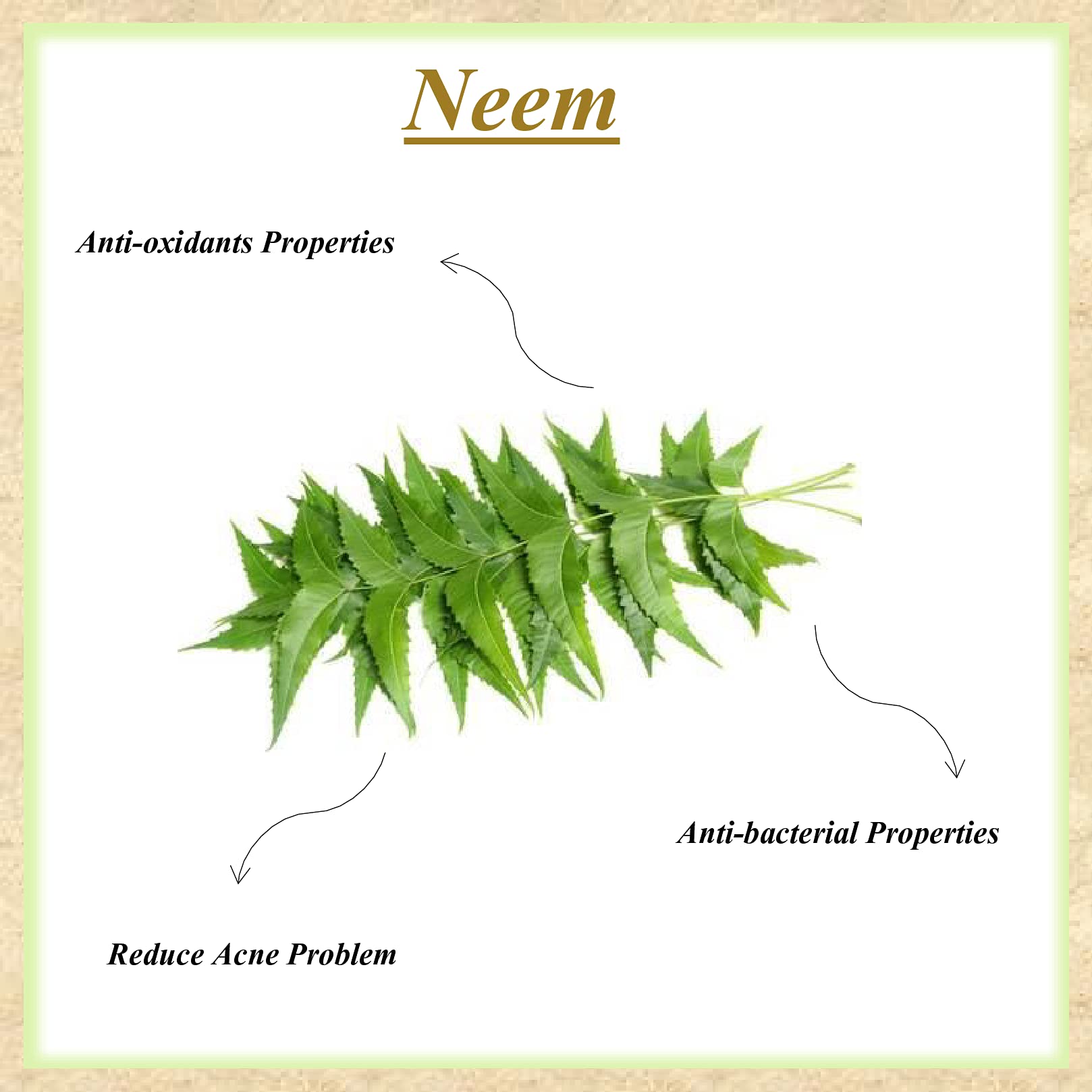 Organic Neem Powder & Pomegranate Powder Combo for Hair Growth & Skin Care - 200g | Natural Ayurvedic Treatment for Dandruff, Acne & Healthy Scalp | DIY Face Masks & Hair Packs