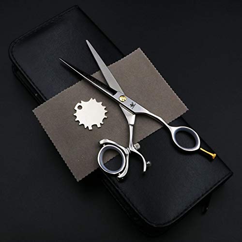 Professional 6 Inch Hair Cutting Scissors - Salon Grade Barber Shears for Precision Hairdressing & Styling - Includes Protective Case - Perfect for Salon Professionals & Home Haircuts (1 Piece Set)