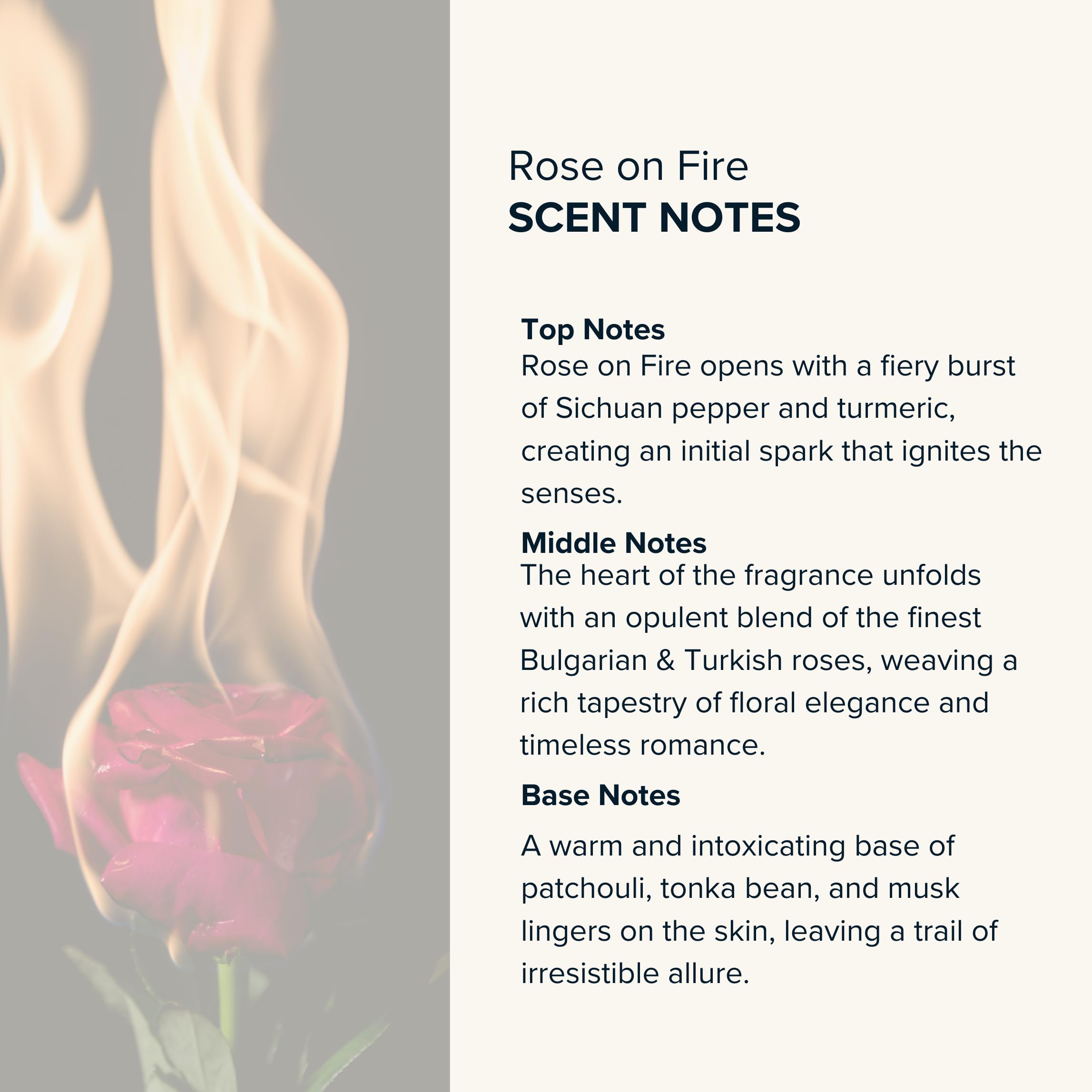 Anthology Rose on Fire Roll-On Perfume Oil for Women – 0.3oz / 9ml | Turkish Rose, Spicy Pepper & Musk Scent | Alcohol-Free, Travel-Size Rollerball | Clean Fragrance for Everyday Wear, Date Nights & Special Occasions