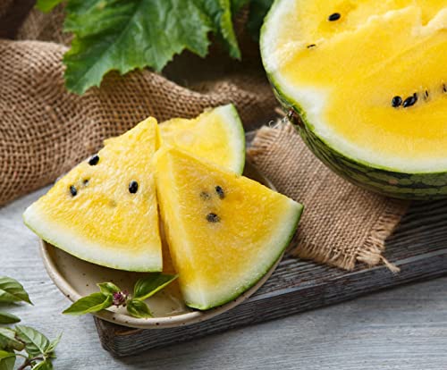30+ Yellow Flesh Doll Babies Desert King Watermelon Seeds (Not Seedless) - Sweet Juicy Melon for Home Gardening, Farmers Market & Fresh Fruit Snacking