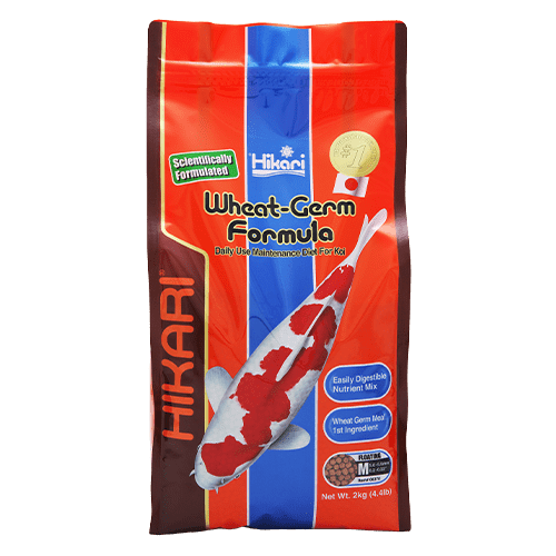 Premium Hikari Koi Wheat Germ Floating Fish Food Pellets - High Protein Diet for Healthy Koi & Goldfish - Ideal for Outdoor Ponds & Water Gardens