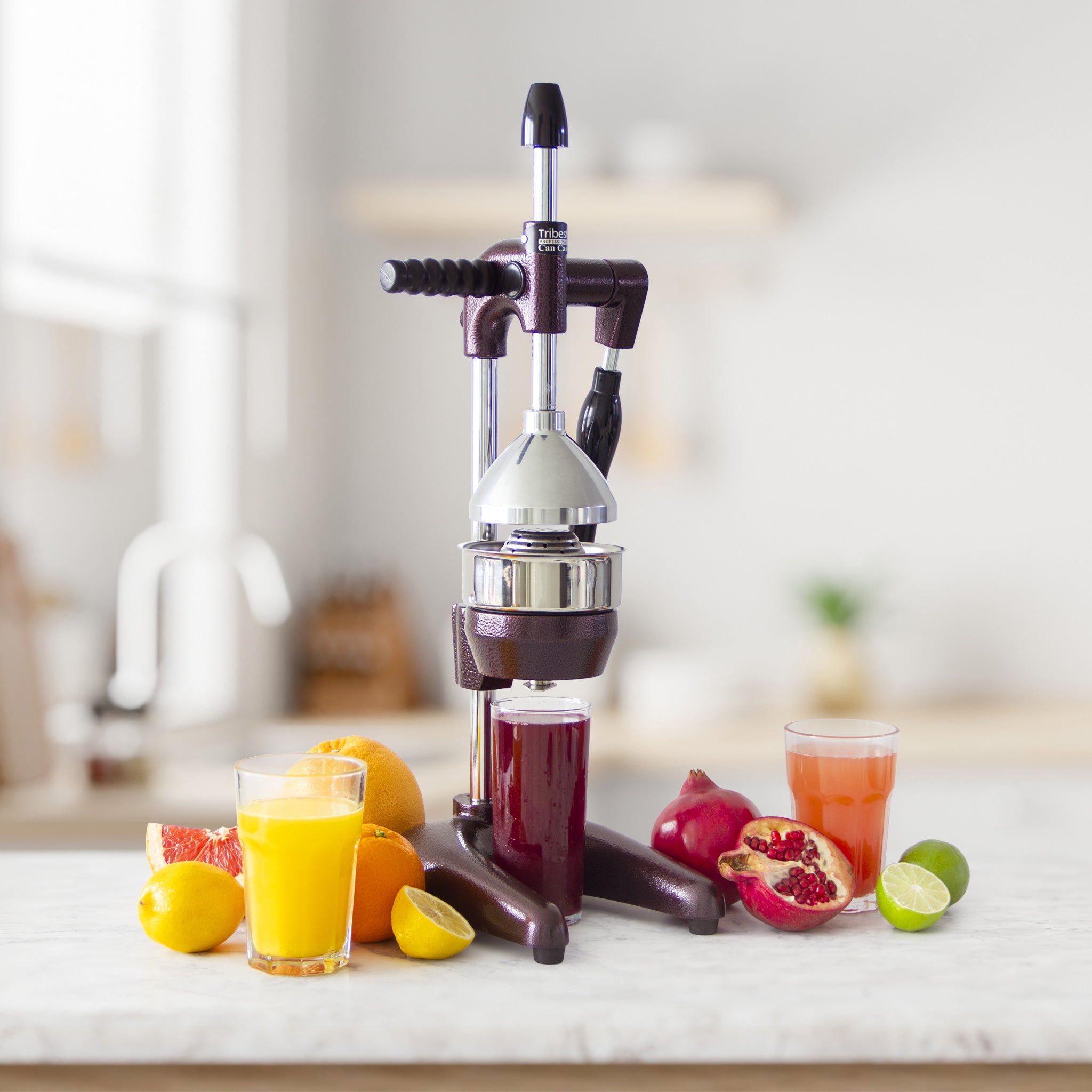 Refurbished XL Manual Juice Press for Pomegranate, Citrus & More - Cold Press Juicer for Healthy Drinks, Cocktails & Homemade Extracts