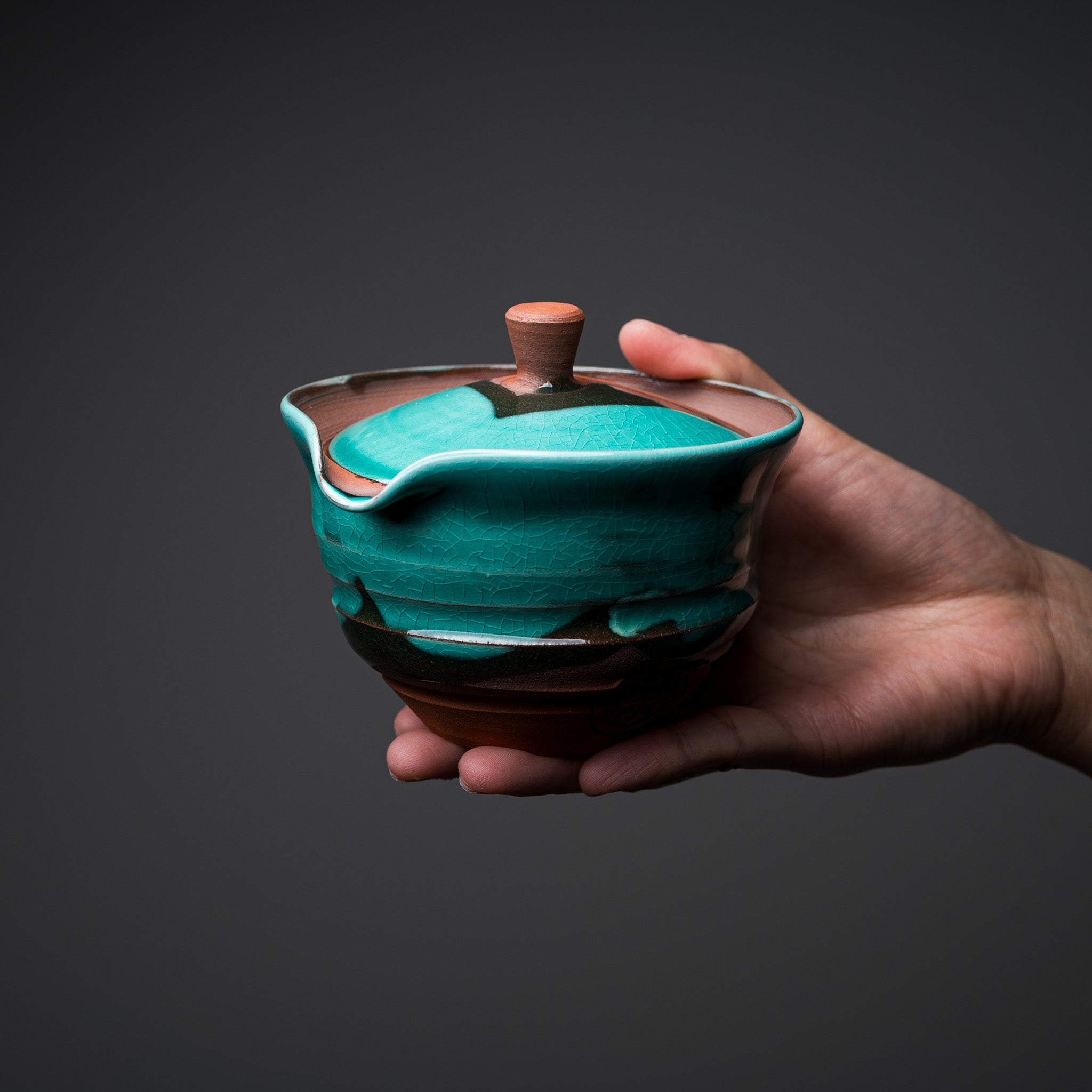 NINSHU Houhin Teapot Hana Roku Sho - Japanese Ceramic Teapot for Green Tea & Matcha | Perfect for Tea Ceremonies, Home Brewing & Gifts