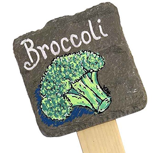 Hand-Painted Slate Garden Stake - Chalk Art Broccoli Design for Outdoor Decor | Perfect for Vegetable Gardens, Flower Beds & Backyard Landscaping