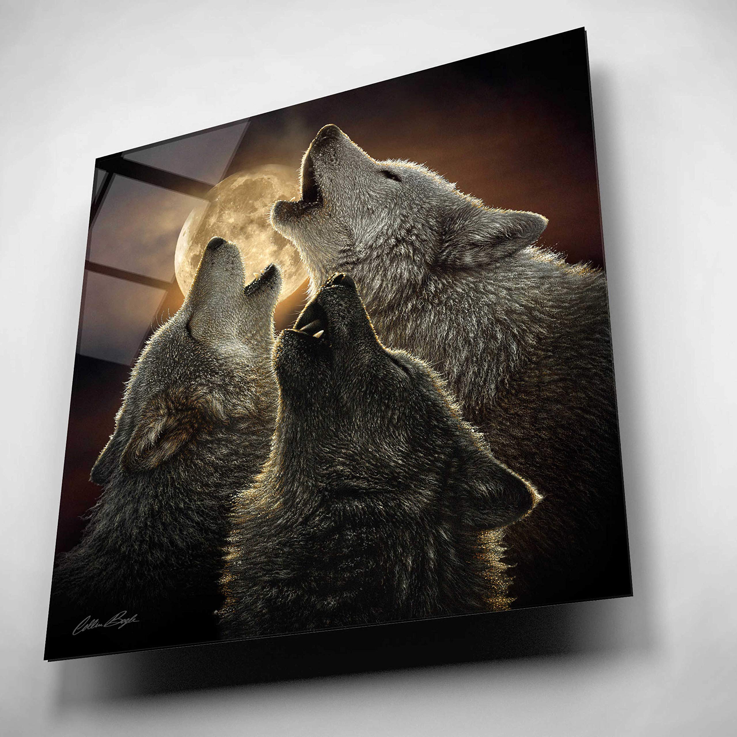 Collin Bogle 'Wolf Trinity' Acrylic Glass Wall Art - 12x12 Inches Modern Wolf Painting for Living Room, Bedroom & Office Decor