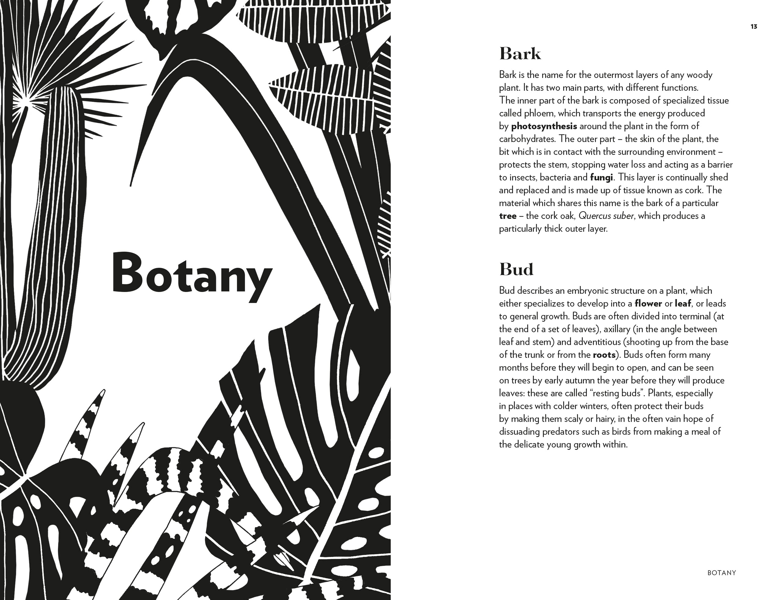Kew - Plant Words: 250 Unique Botanical Terms for Plant Enthusiasts | Royal Botanic Gardens, Kew | Perfect for Gardeners, Botanists & Nature Lovers