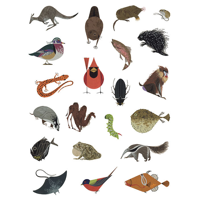 Charley Harper Tree of Life Sticker Book - 500+ Nature Inspired Stickers for Scrapbooking, Journals & DIY Crafts | Perfect for Art Lovers & Wildlife Enthusiasts