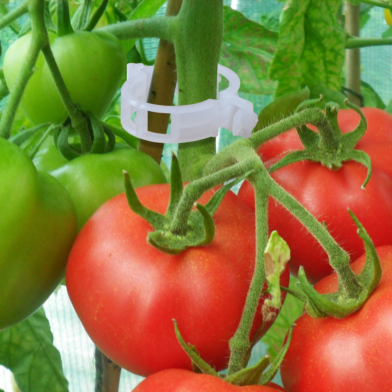 BenefitUSA 25mm Garden Clips - Tomato Trellis Clips for Vine Support, Plant Clips for Vegetables, Tomatoes, and Upright Growth (400 Pack) - Perfect for Home Gardening, Greenhouses, and Vertical Farming