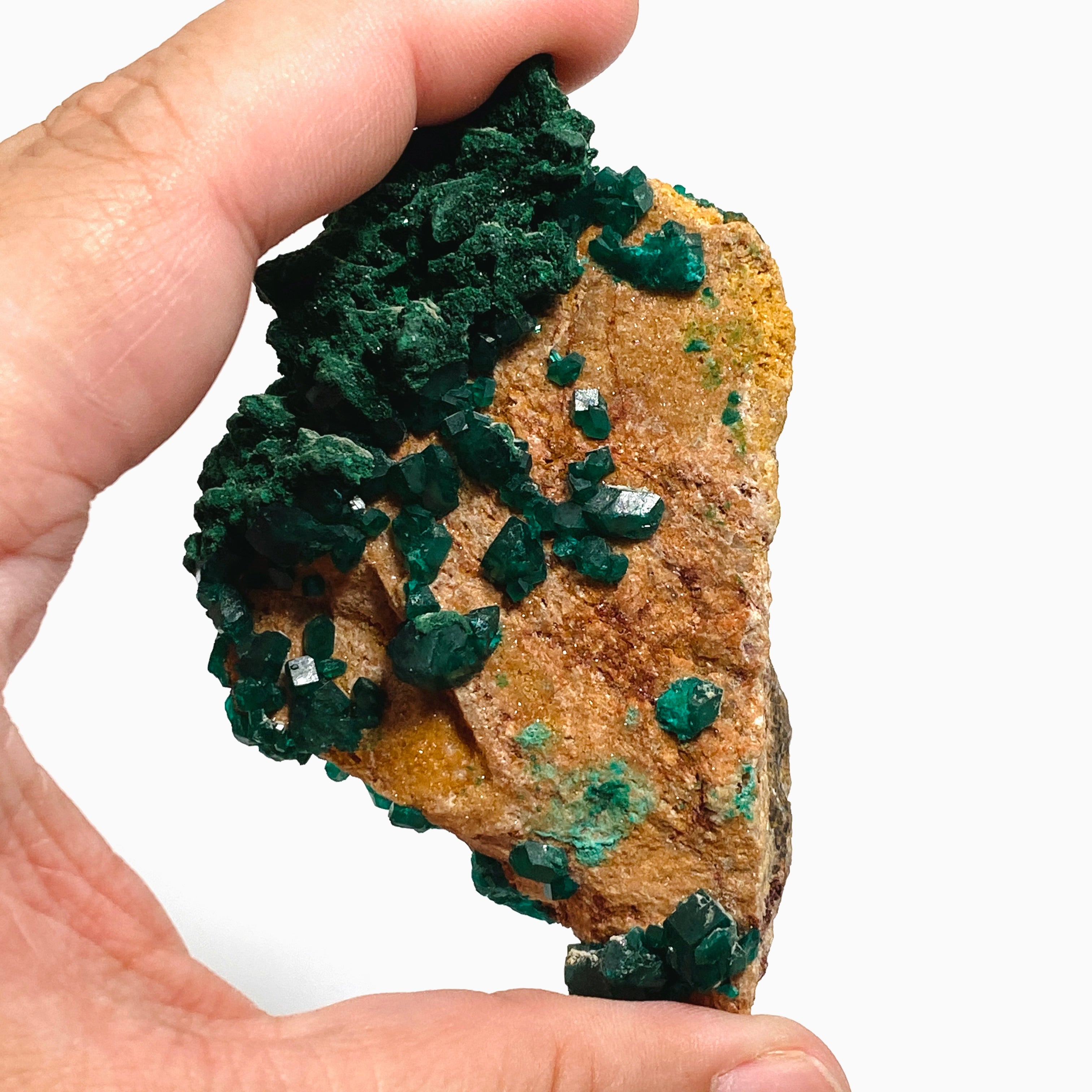 Natural Dioptase and Malachite Crystal Specimen from Congo - CR3745 | Mineral Collection, Healing Crystals, Geology Display, Home Decor