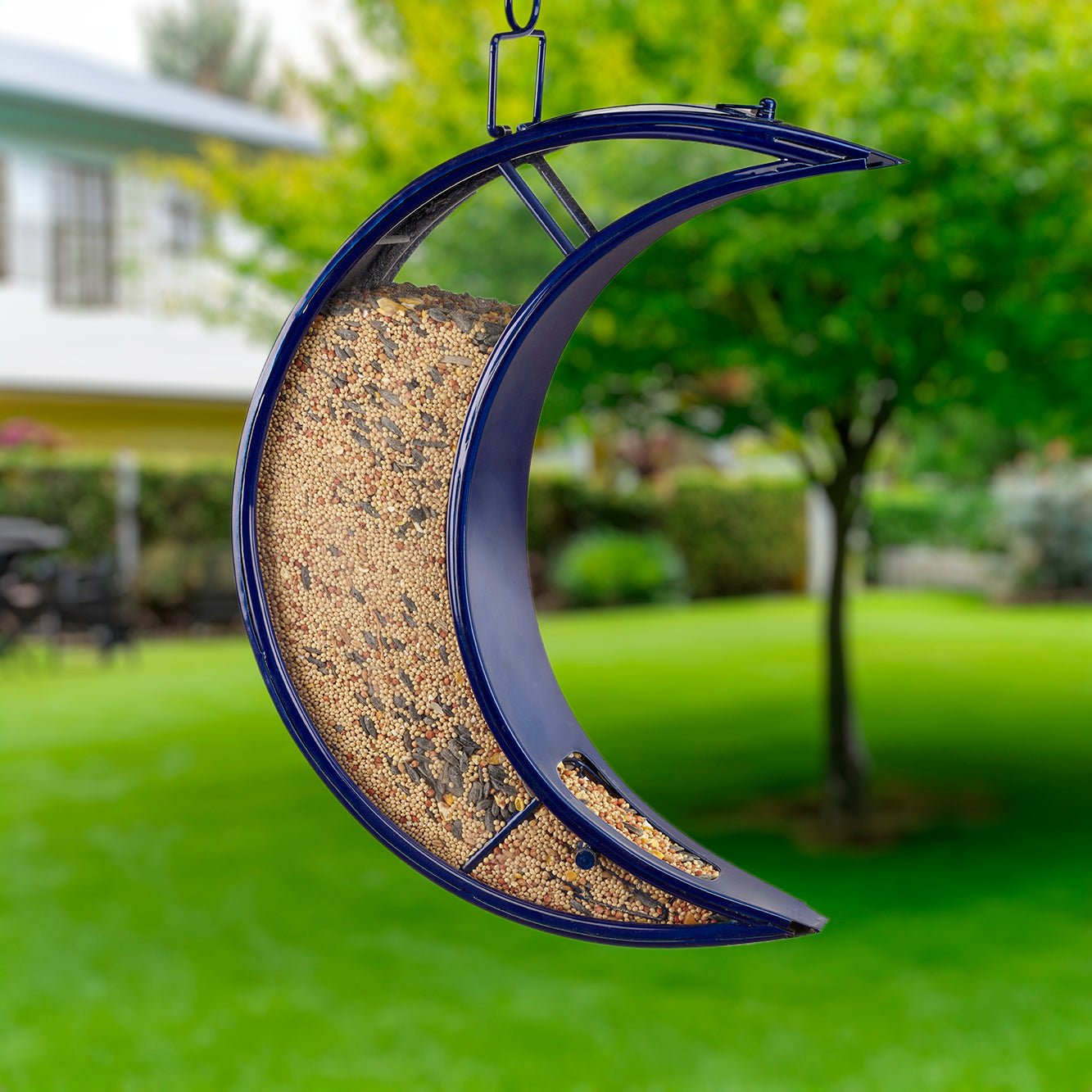 Premium Blue Bird Feeder - Attract Wild Birds to Your Garden | Durable Outdoor Hanging Birdhouse for Backyard, Patio & Balcony