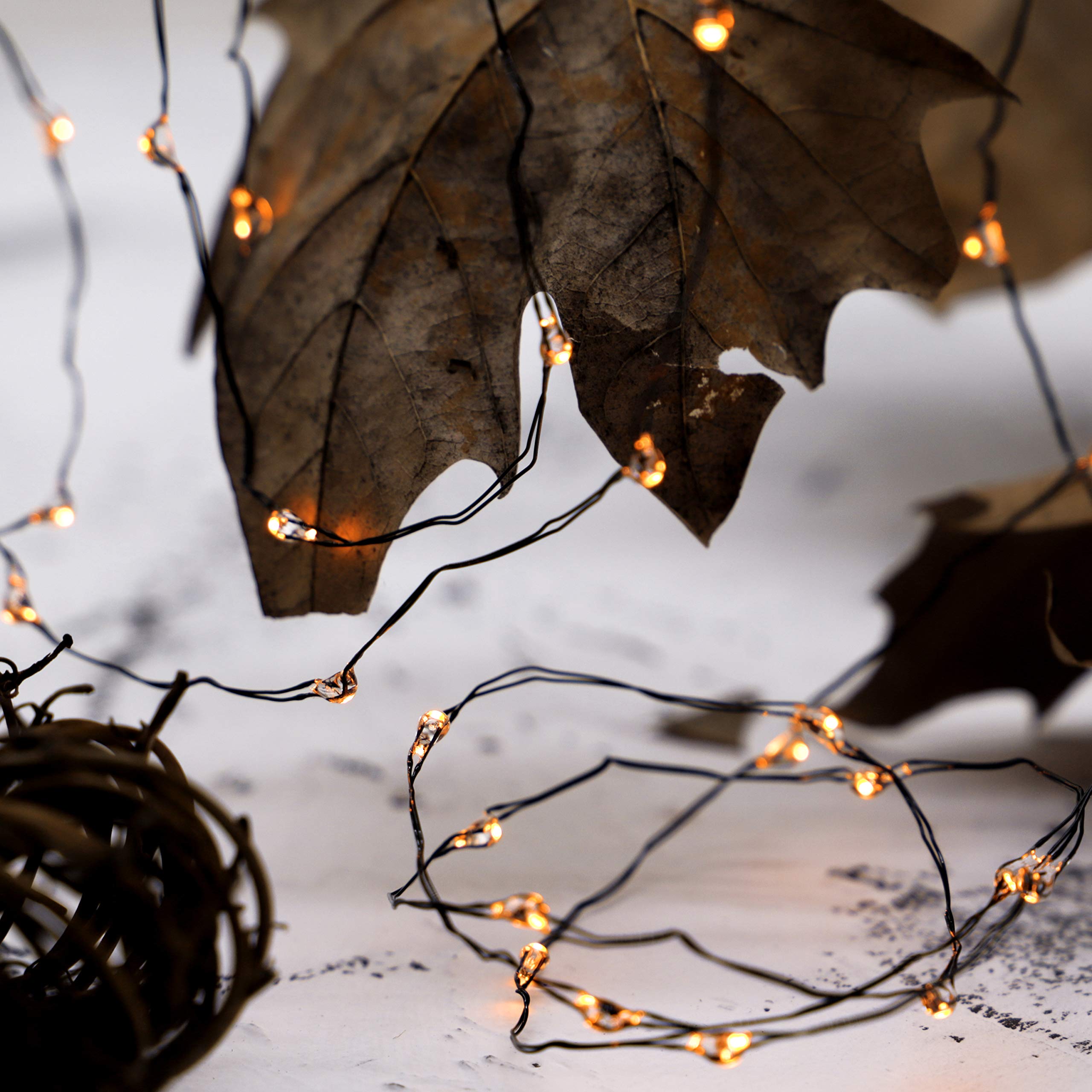 Fall Fairy Lights - Battery Operated String Lights for Thanksgiving & Indoor Decor (Orange) - Perfect for Autumn Home Decor