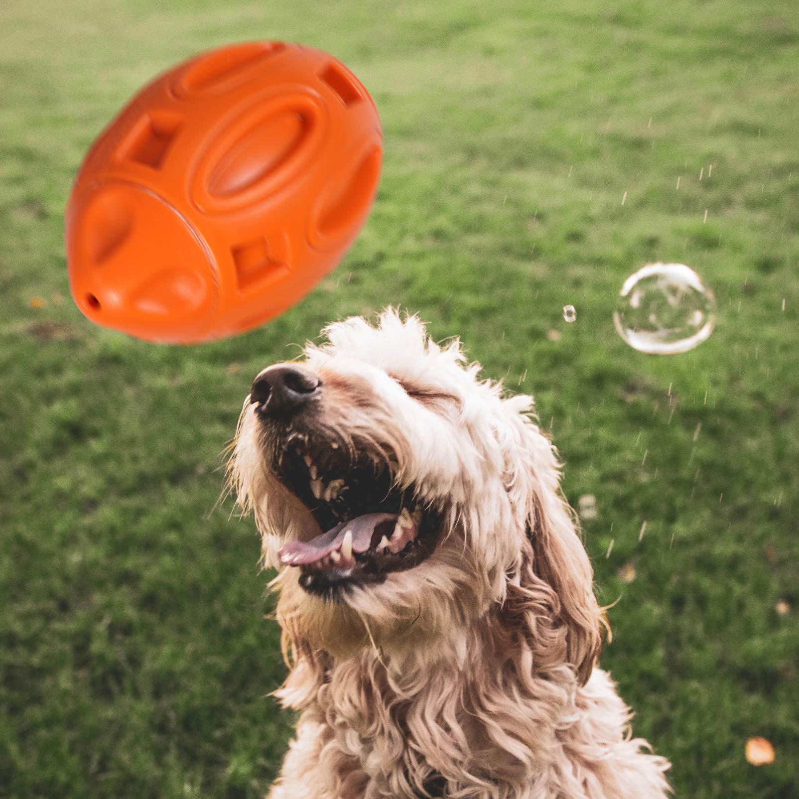 Balacoo Durable Dog Chew Toys for Aggressive Chewers - Interactive Squeaky Rubber Ball Teething Toy for Small Breed Puppies & Dogs - Perfect for Indoor Play, Training Rewards, and Dental Health