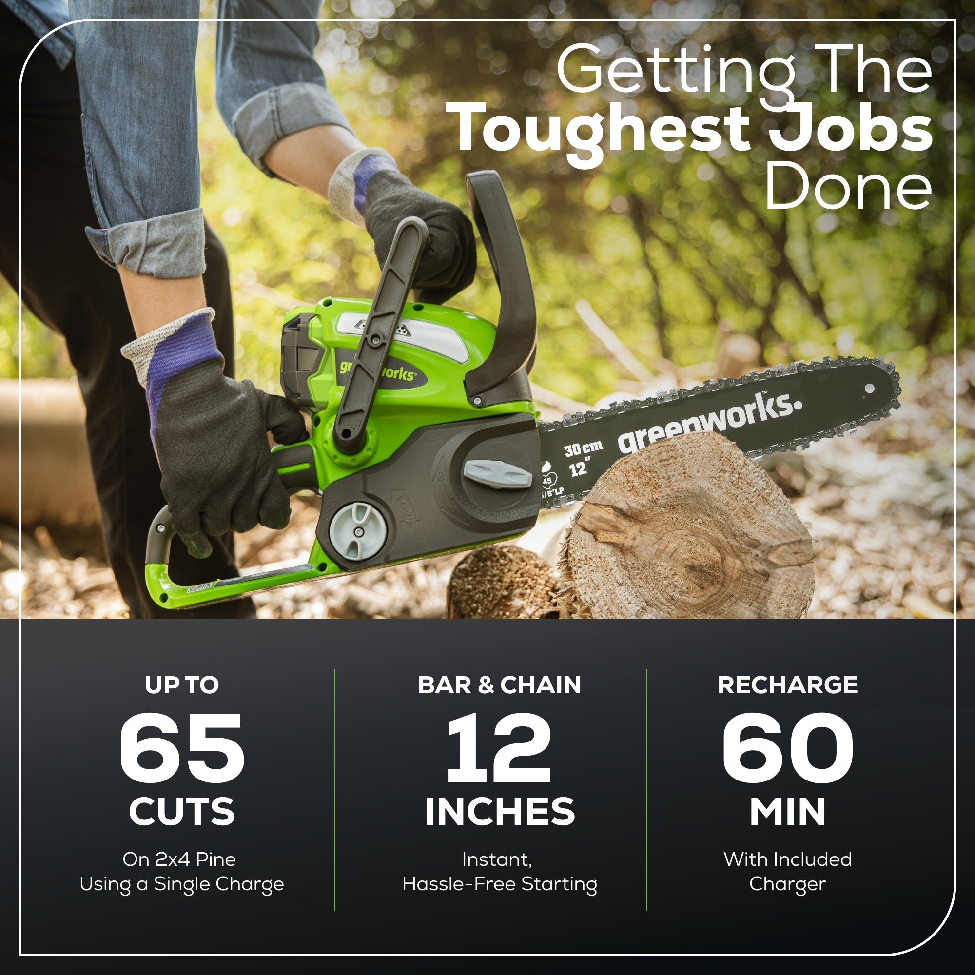 40V 12-Inch Cordless Battery Chainsaw with 2.0Ah Battery & Charger - Lightweight & Powerful for Tree Trimming, Firewood Cutting, and Yard Maintenance