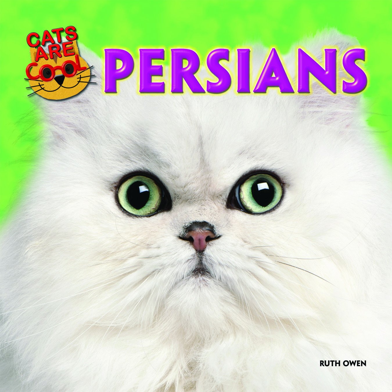 Persian Cat Breeds: Characteristics, Care Tips & Best Supplies | Perfect for Home Companionship & Cat Lovers