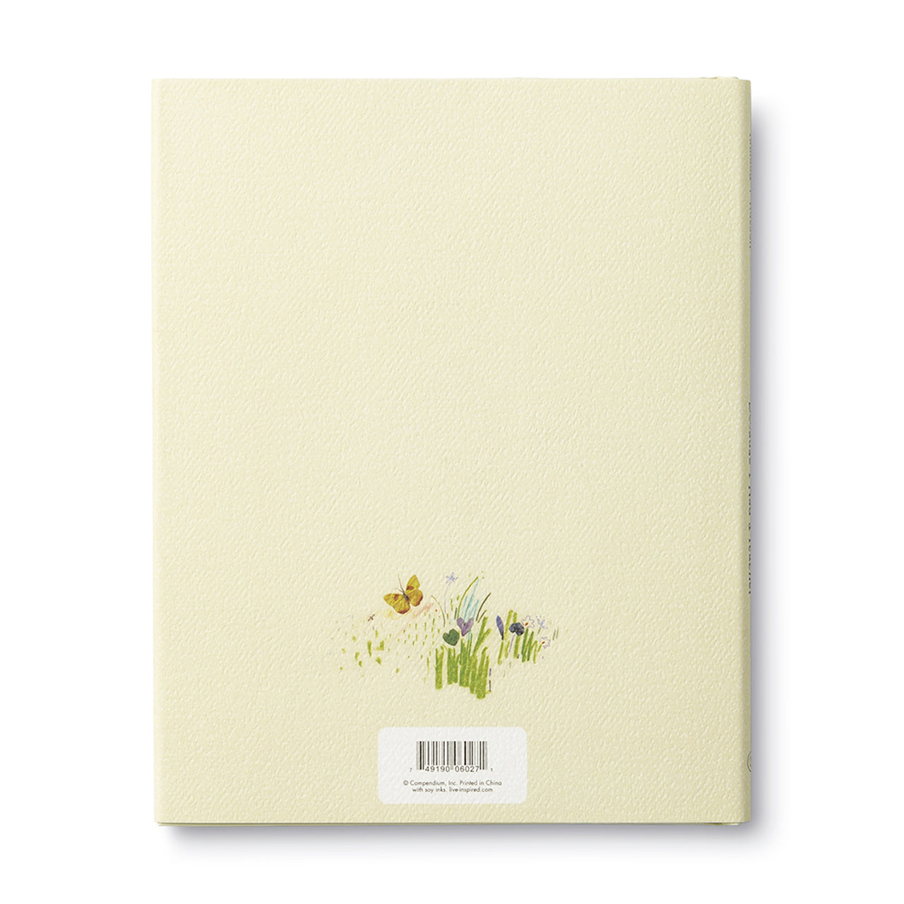 Because I Had A Teacher by Kobi Yamada - Inspirational Children's Book About Teacher Appreciation & Life Lessons - Perfect for Teacher Gifts, Classroom Reading & Parent-Child Storytime