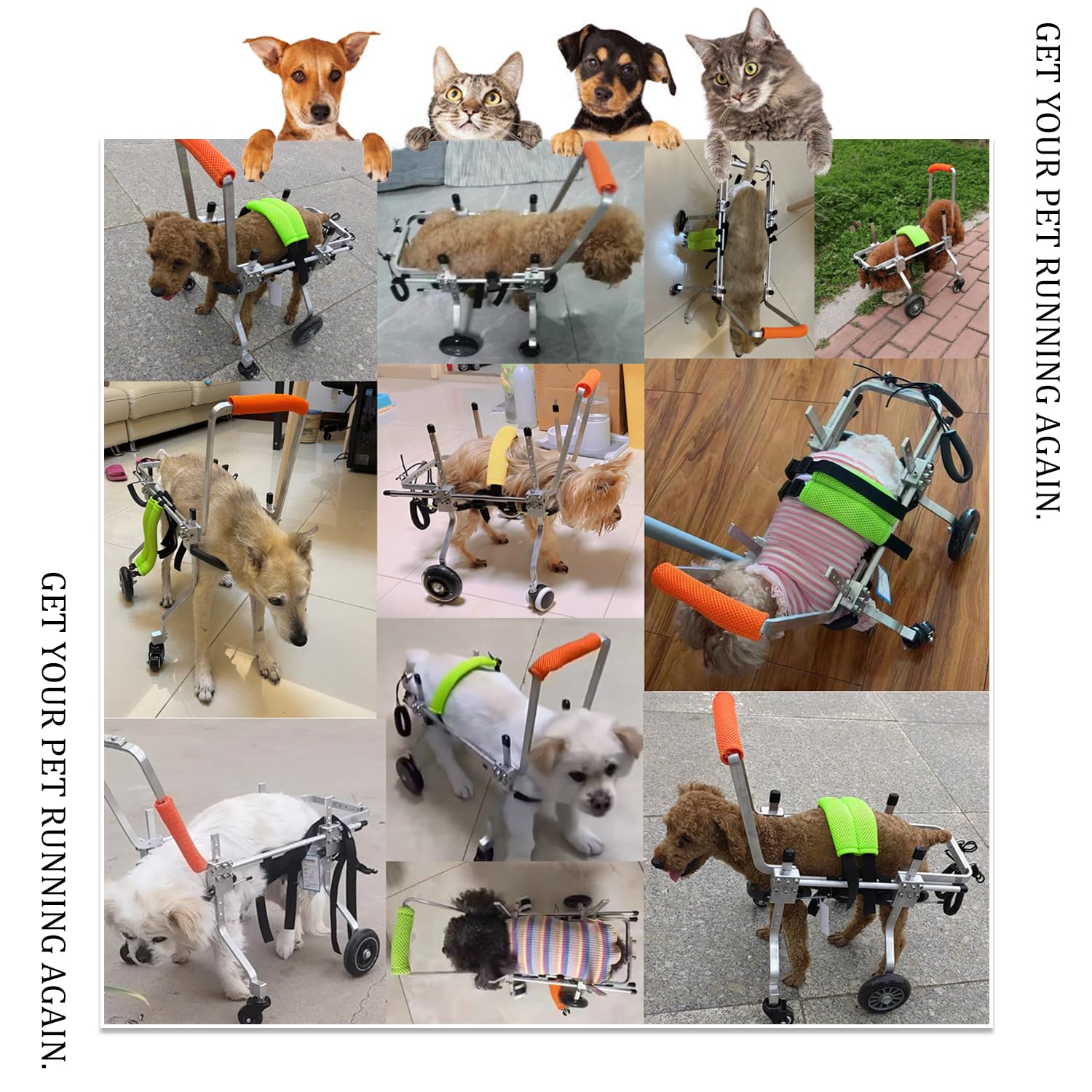 Adjustable 4-Wheel Dog Wheelchair for Small & Medium Pets - Lightweight Mobility Aid for Front Leg Arthritis & Weak Limbs (XXS) - Ideal for Indoor/Outdoor Use, Recovery & Daily Support