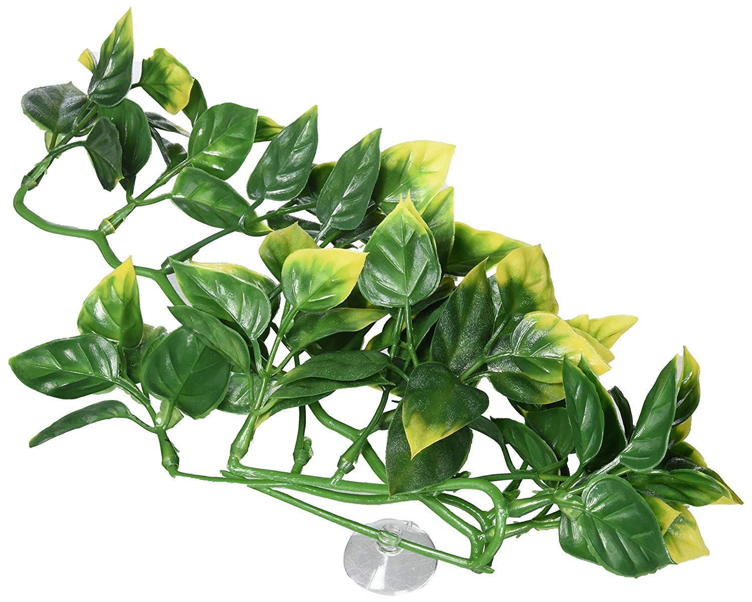 Exo Terra Small Plastic Terrarium Plant - Amapallo for Reptile Habitat & Terrarium Decoration - Perfect for Gecko, Frog, and Snake Enclosures