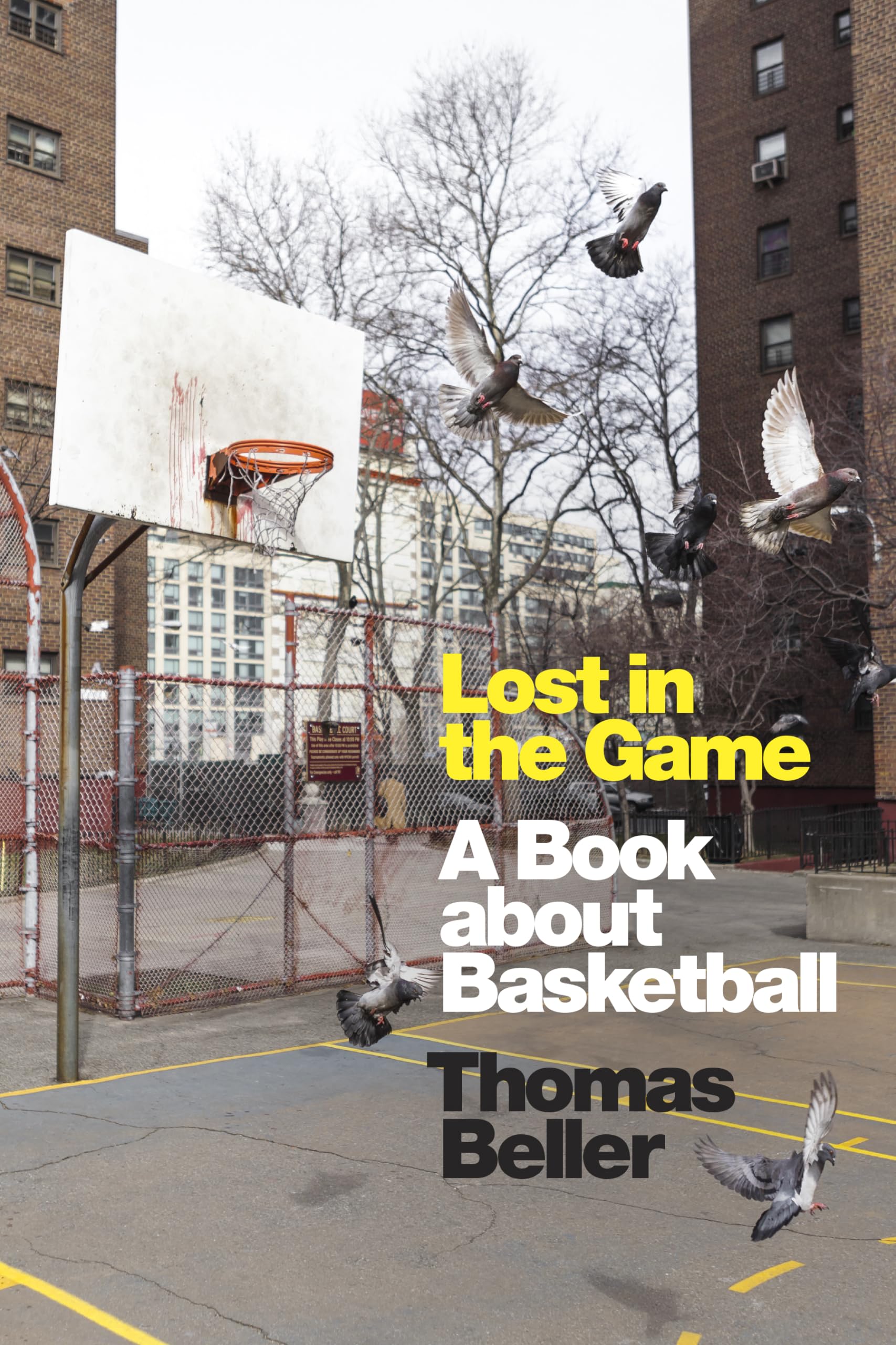 Lost in the Game: Inspiring Basketball Book for Players & Fans - Perfect for Training Motivation & Sports Enthusiasts